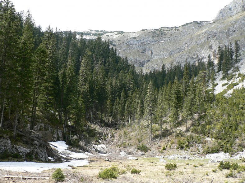 cestou na masív Medvěd