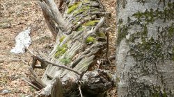 cestou na masív Medvěd