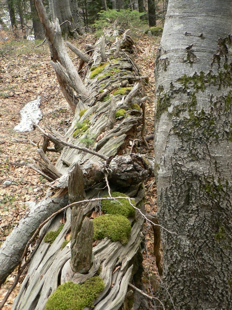cestou na masív Medvěd