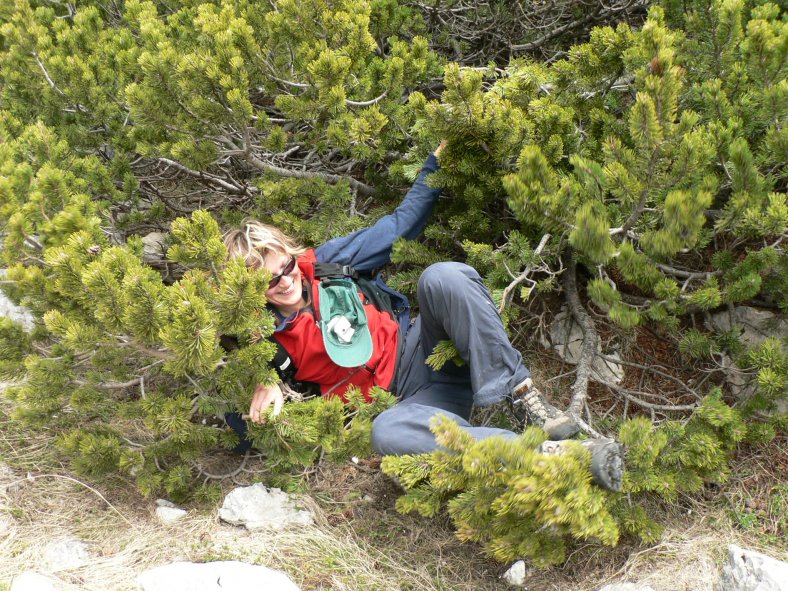 a když se ztratí cesta ....