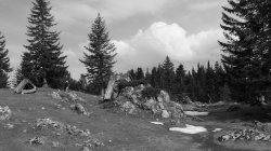 cestou z masívu Medvěd