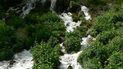 vody, vodičky, potůčky