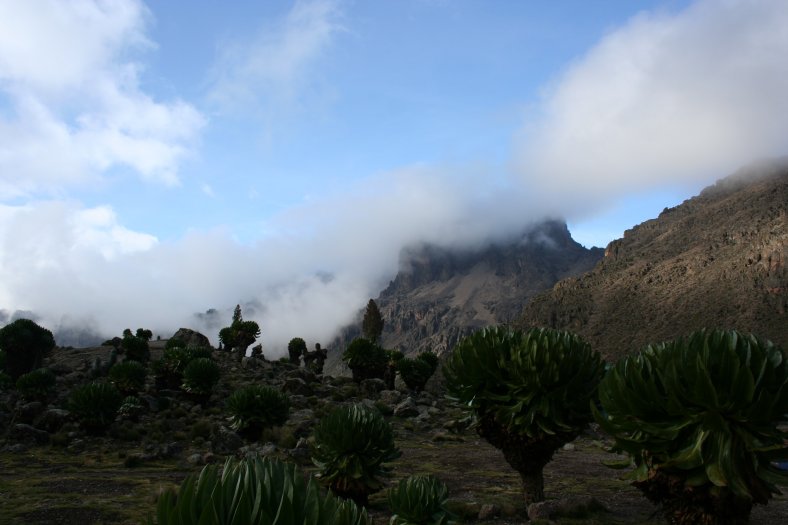 Cestou NP Mount Keny