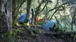 První kemp v deštném pralese