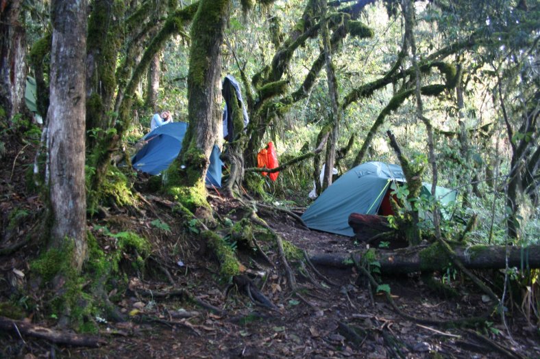 První kemp v deštném pralese