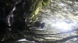 Cestou na Kilimanjaro