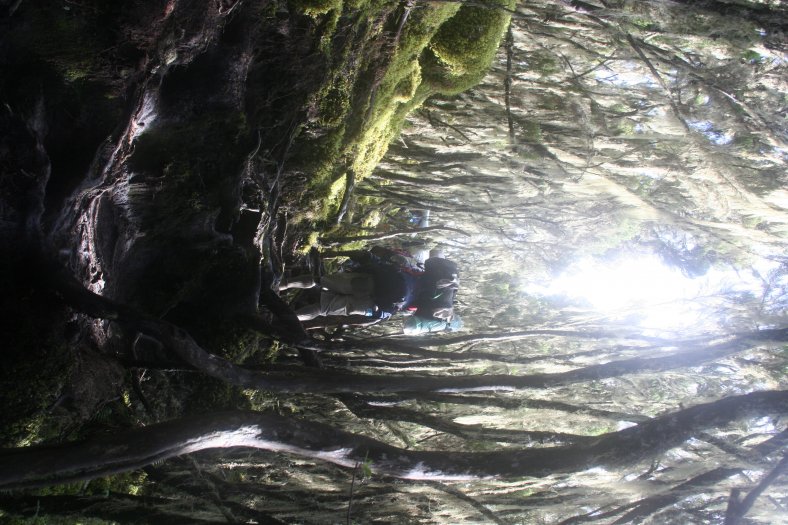 Cestou na Kilimanjaro