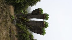 Cestou na Kilimanjaro