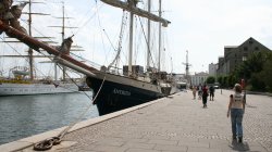 IMG_2054