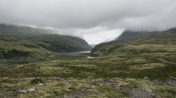 IMG_2123