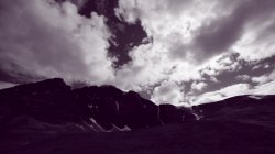 IMG_2145