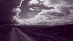 IMG_2175