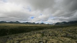 IMG_2179