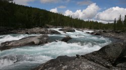 IMG_2229