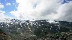 IMG_2245