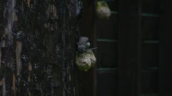 IMG_2380