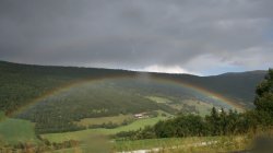 IMG_2391