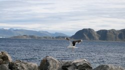 IMG_2572