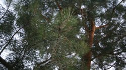 IMG_0097
