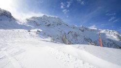 IMG_0211