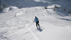 IMG_0223