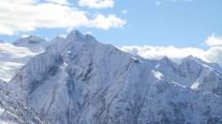 IMG_0246