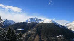 IMG_0251