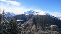 IMG_0252