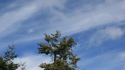 IMG_6452