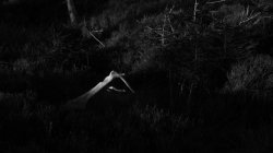 IMG_6477