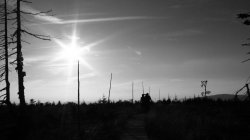 IMG_6481