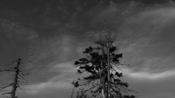 IMG_6497