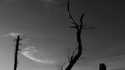 IMG_6498