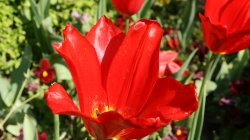 IMG_4767