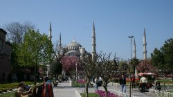 IMG_4778