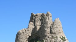 IMG_4873