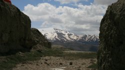IMG_4925