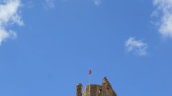 IMG_4936