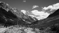 IMG_7982