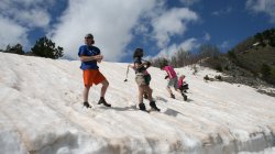 IMG_7985