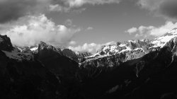 IMG_8004