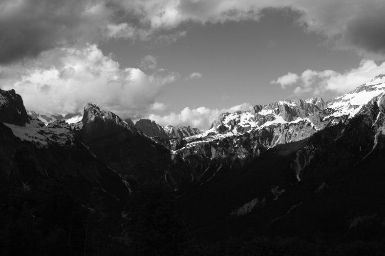 IMG_8004