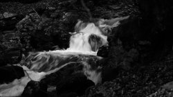 IMG_8017