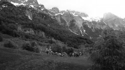 IMG_8021