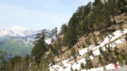 IMG_8061