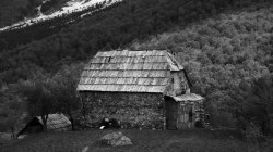 IMG_8076