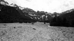 IMG_8087