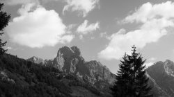 IMG_8104