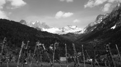 IMG_8109