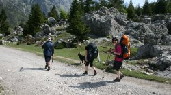 IMG_8112